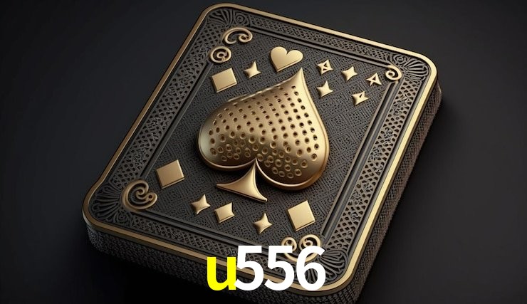 Experiência VIP u556
